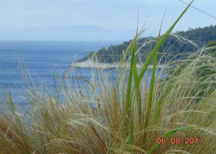 Case de vacanță Pigi *